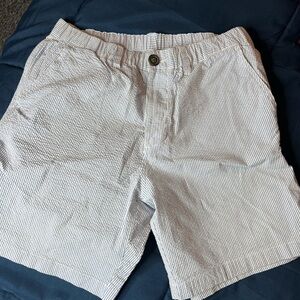 Chubbies Men's Shorts in White and Blue Pinstripe